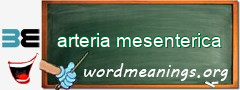 WordMeaning blackboard for arteria mesenterica